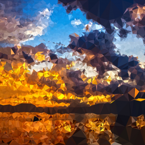 Reflection